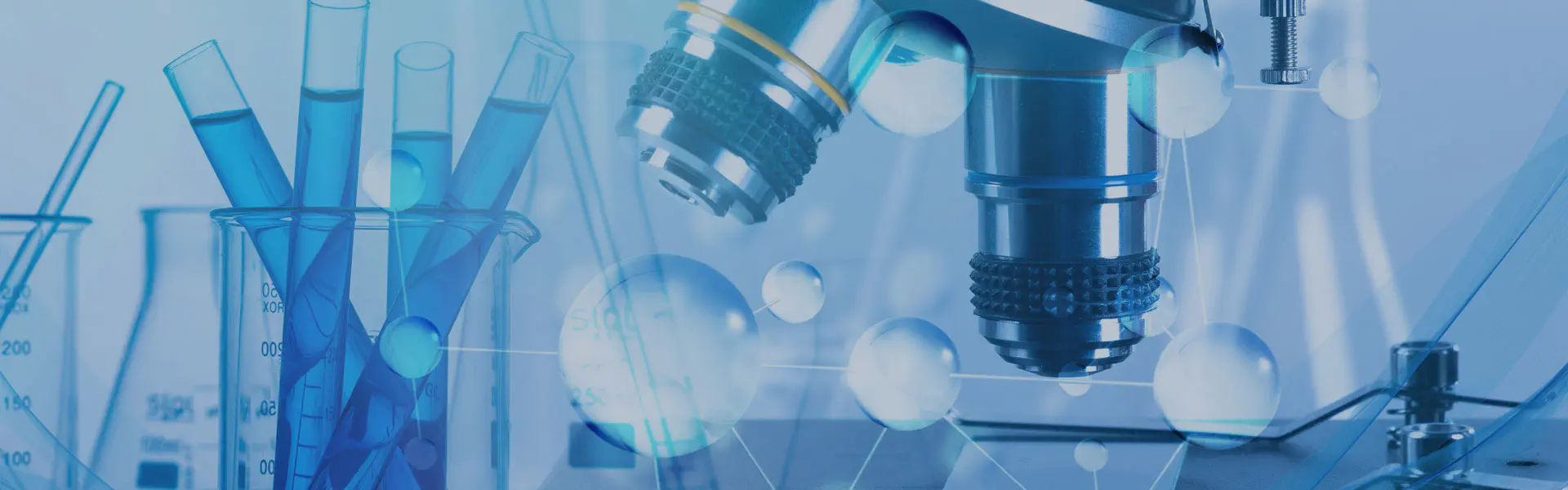 আমাৰ সৈতে যোগাযোগ কৰক